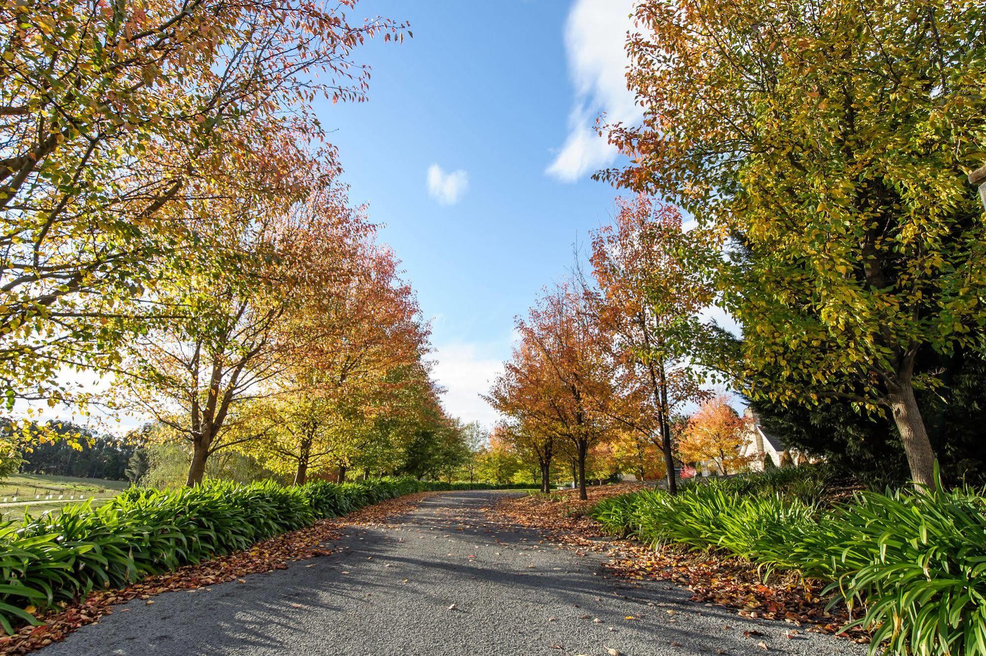 Montfort Manor Traralgon Luaran gambar